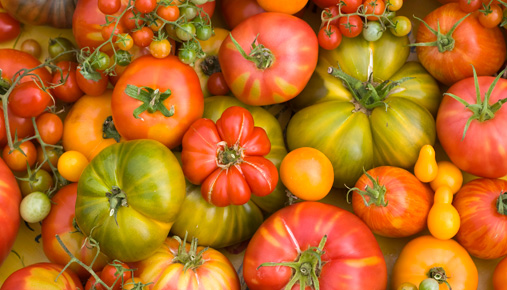 https://tickertapecdn.tdameritrade.com/assets/images/pages/md/heirloom tomatoes