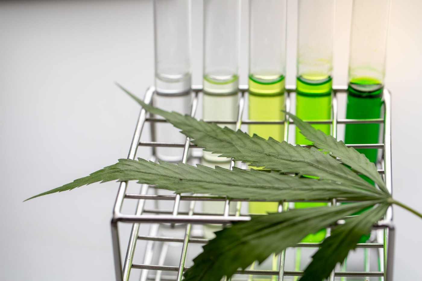 High Risk? Cannabis Sector’s Legal Conflict Puts Inve ...