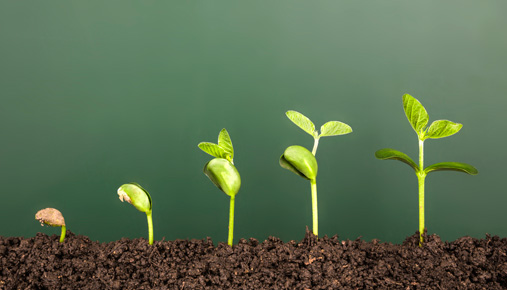 https://tickertapecdn.tdameritrade.com/assets/images/pages/md/Seedling: Growth funds and tips for investing in them